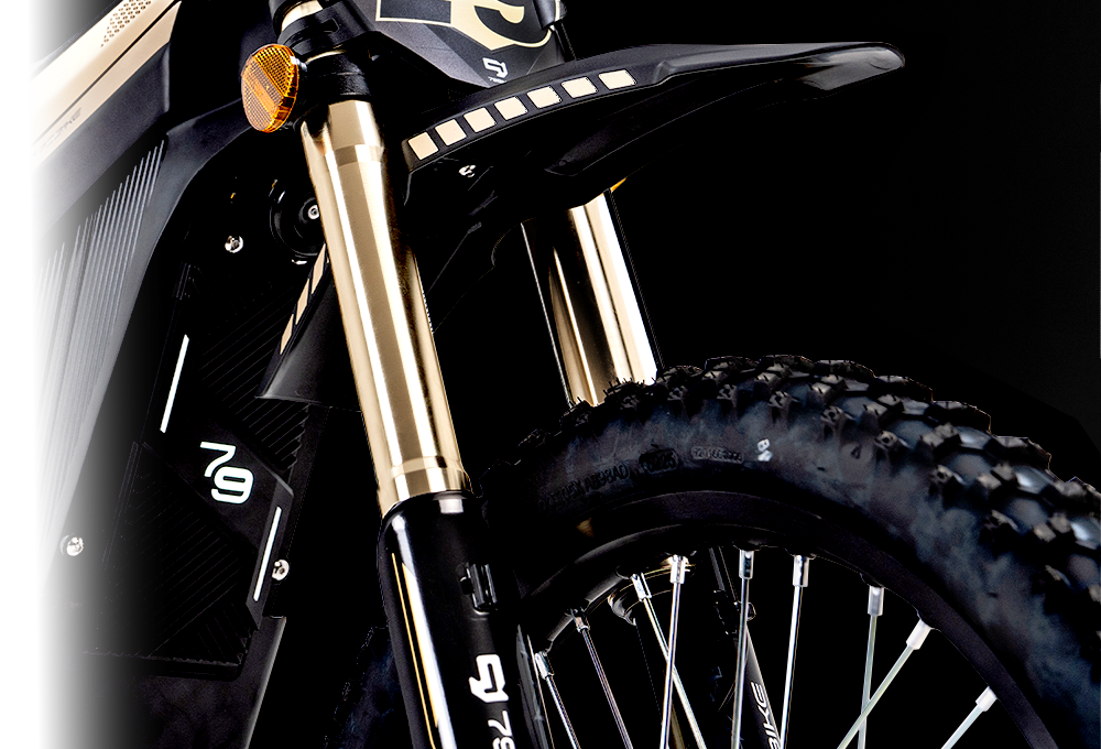 Garfo dianteiro FastAce da 79BIKE Lynx